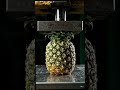 🍍 Pineapple Crush Challenge 💥😱#Shorts #HydraulicPress #Viral #AIVXFF