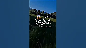 حالات واتس اغنيه قلعت تيشرت على ايدي لفيته 