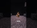 A space portal in a Minecraft wall #shorts