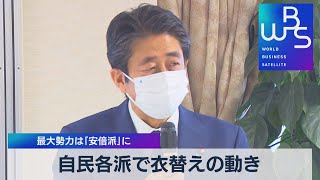 最大勢力は｢安倍派｣に　自民各派で衣替えの動き（2021年11月11日）