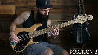 Erykah Badu - Penitentiary Philosophy (Bass Cover)