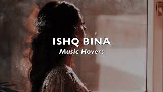 Ishq Bina (Slowed & Reverbed)