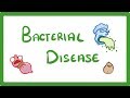 GCSE Biology - What Are Bacterial Diseases? - Treatment and Prevention #37