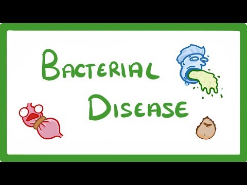 GCSE Biology - What Are Bacterial Diseases? - Treatment and Prevention #37