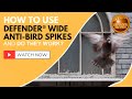 How to use defender wide antibird spikes and do they work