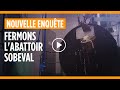 L'enfer des veaux à l'abattoir Sobeval (version originale)