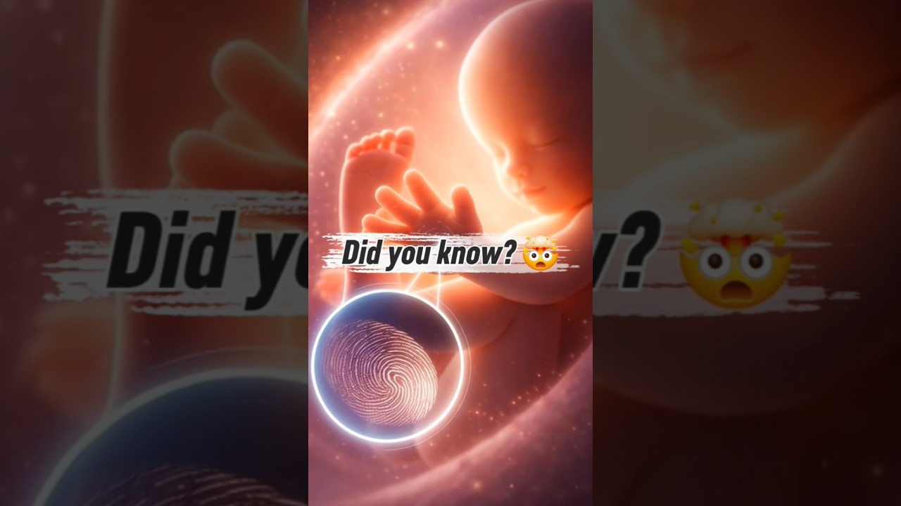 Fingerprints Form Before Birth — By 3 Months! 🧬👶