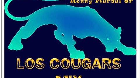 Los Cougars Mix  Cumbias Inmortales