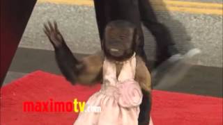 Monkeys (CIS 120 Assignment 9)