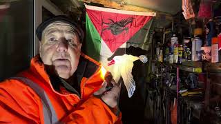 Download Lagu Matt Goodwin #news #politics #israel #palestine #muslim #election  MP3