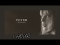 Peter  taylor swift 1 hour