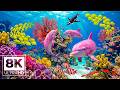 The Endless Ocean 8K (ULTRA HD) 🐠 Spectacular Marine Life for Deep Sleep and Meditation