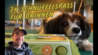 3 simple sniffing games for at home 🐶 Activities for every dog! screenshot 2