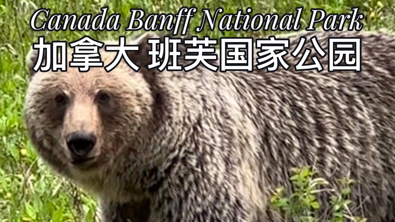 Canada Banff National Park Johnston Canyon Campground 加拿大班芙国家公园 约翰斯顿营地