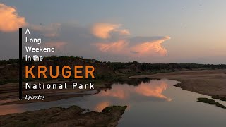 Long Weekend in the Kruger National Park | Ep3: Letaba Camp
