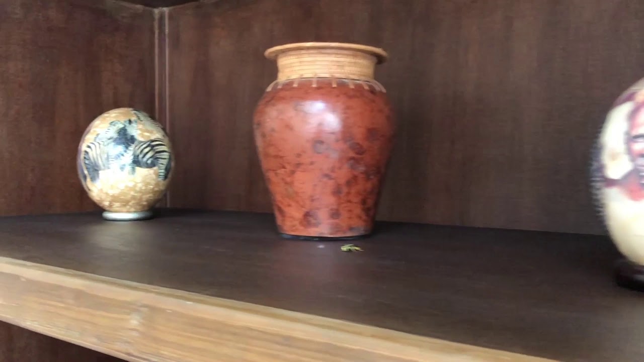 Hearts Desire Farm YouTube