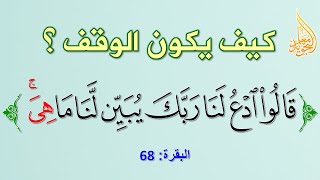 كيف نقف على الياء من قوله تعالى - قالوا ادع لنا ربك يبين لنا ما هي