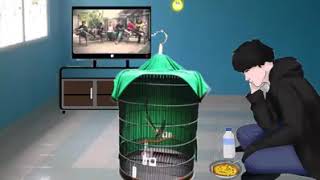 Kartun Kicau Mania Story Wa hits