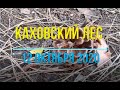 КАХОВСКИЙ ЛЕС ОСЕНЬЮ. КРАСОТА!!!
