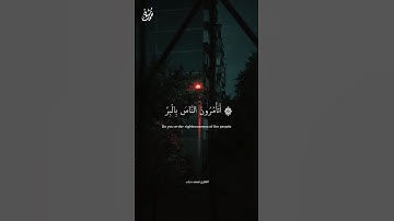 ۞ أَتَأْمُرُونَ النَّاسَ بِالْبِرِّ - القارئ محمد دياب