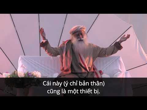 Sadhguru Tiếng Việt