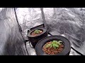 Surviving the Vegetative Stage with DWC Hydroponics (Part 3)