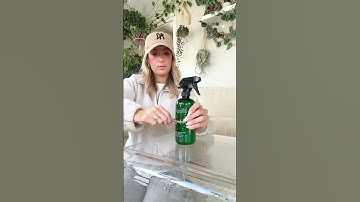 Easy #DIY trellis ideas 💚 #plants #houseplants #plants #fyp #trending #project #indoorplants