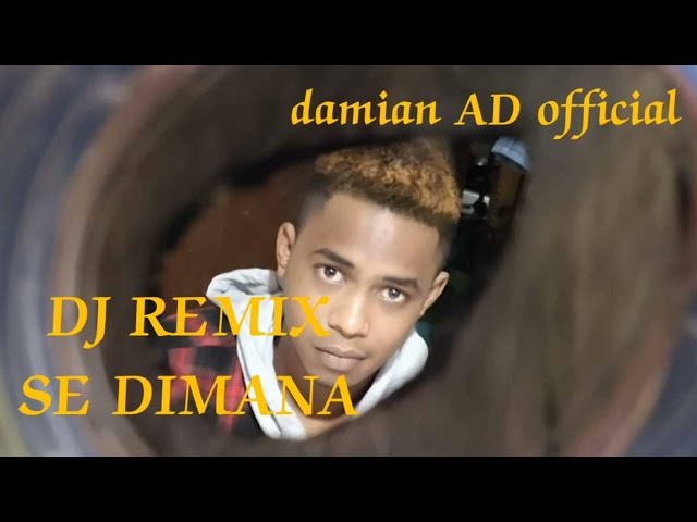 dj remix~se dimana~dj terbaru 2023~damian AD official class=