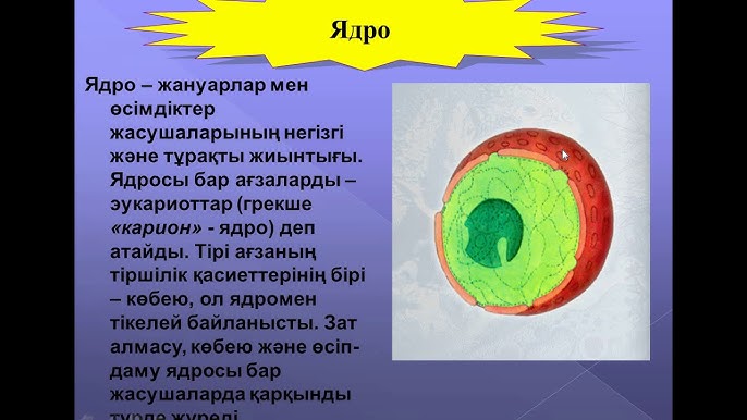 Барнаулдан жыныстық қатынасқа жұп іздеймін