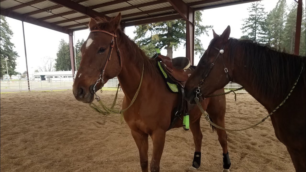 Riding lesson Training Barrel Racing Pro Rodeo - YouTube