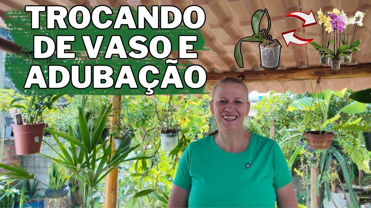 COMO FAZER O REPLANTIO CORRETO DA ORQUÍDEA DE SUPERMERCADO E COMO ADUBAR AS ORQUÍDEAS