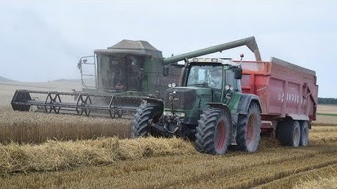 Moisson en Fendt