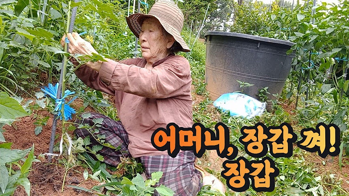 Mom, put on your gloves! Gloves: What happens when you come to the weekend farm after a long time