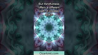 Youll learn more than you ever imagined