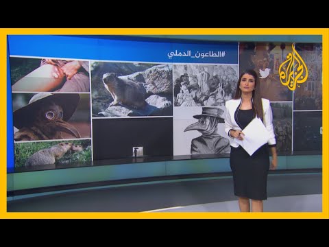 الطاعون الدملي تساؤلات عن الموت الأسود فماذا تعرف عنه