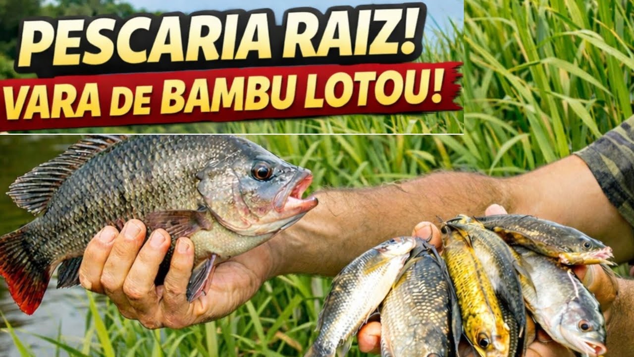 PEGUEI VÁRIAS TILÁPIA....MAS OLHA O QUE VEIO JUNTO ! 🎣 🐟 🐠