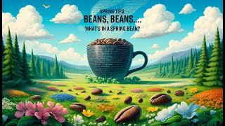 Spring Tips: Beans, Beans: What's in a Spring bean?
