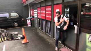 Pranking With The Stars Dinosaur Jono And Ben