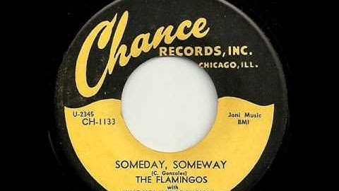 Someday Someway - Flamingos.wmv