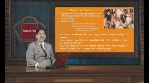 Fundamentals of Soil Science (Lecture-2nd) Unit-IX: Soil Micro Organism