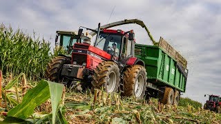 Case IH 1455/1255 pure sound inox! Ensilage en Normandie