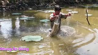 Giăng Lưới Cá Lòng Tong Dính Quá Khùng #kichcamientay #nhungangiang