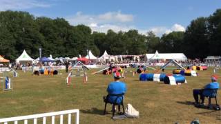 Team Canada EO TEAM Finals 2016 - WiFi, Swagger, Summit & Pixie