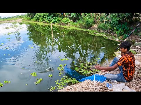 বাড়ির পাশে বিলে বড়শি দিয়ে একসাথে ২ টা মাছ ধরলাম | Traditional hook fishing in Village |Fishing Video