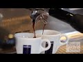 How to Make the Perfect Espresso w/ Sal Foto of Lavazza