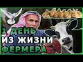 Прибыльный бизнес с большими затратами.30.000.000 рублей в год с 2000 пальм.