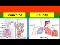 Difference between bronchitis and  pleurisy