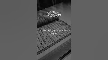 Surah Al-Muzzammil – Strength Through Salah.سورة المزمل– يا أيها المزمل #سورة_المزمل#القرآن_الكريم