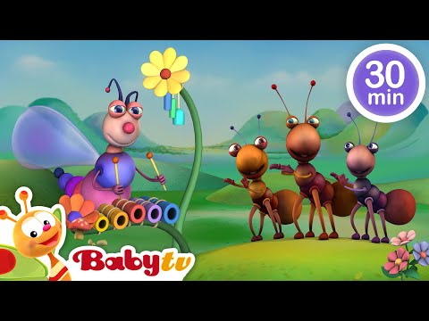 Musical Adventure 🎵🎻 ! African, Jazz, Classical and More!  | Music for Kids | Kids Songs @BabyTV