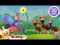 Musical Adventure 🎵🎻 ! African, Jazz, Classical and More!  | Music for Kids | Kids Songs @BabyTV